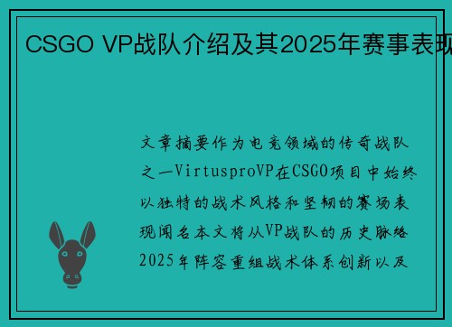 CSGO VP战队介绍及其2025年赛事表现